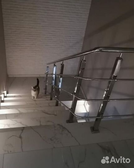 Лестница из акрила