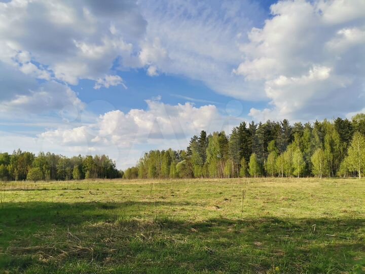 Участок 2 га (СНТ, ДНП)