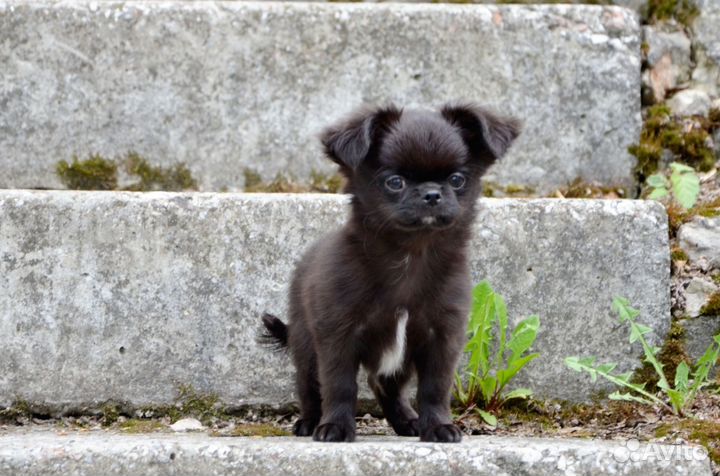 Очень красивый мальчик