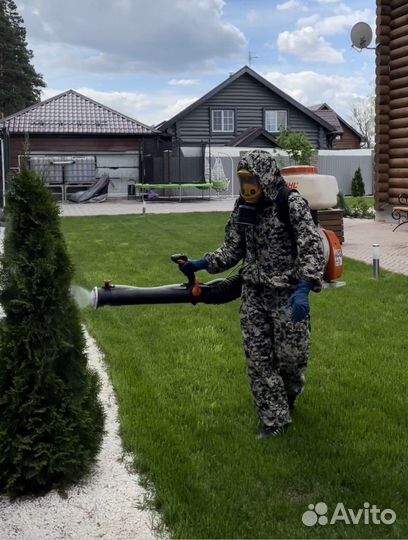Уничтожение клопов тараканов муравьёв блох клещей