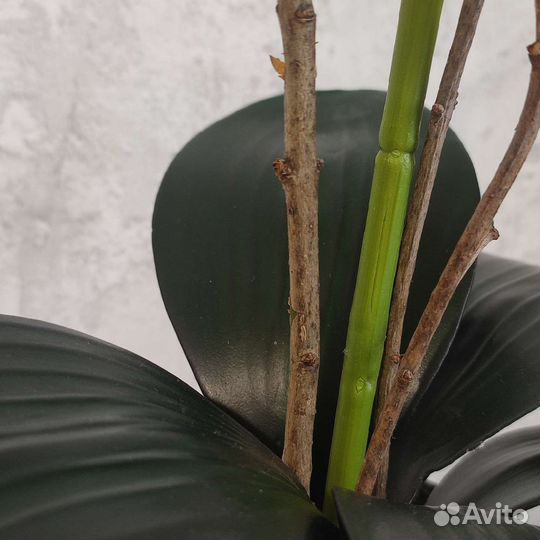 Цветочная композиция из орхидеи