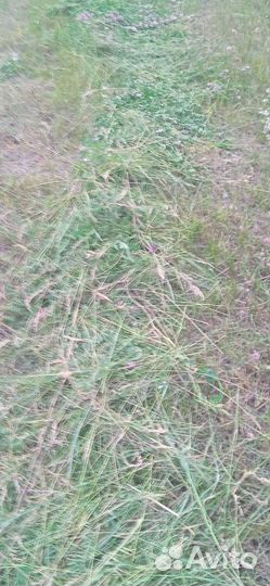 Сено в тюках и рулонах-укос 2023года