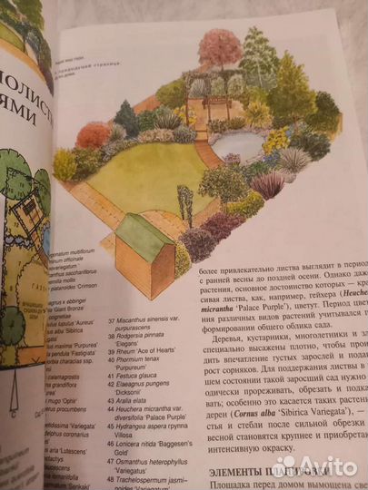 Все о планировке сада. Тим Ньюбери