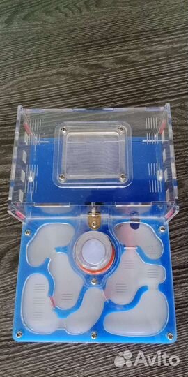 Формикарий - муравьиная ферма