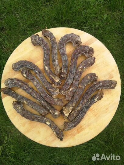 Сушеные лакомства для собак оптом и в розницу