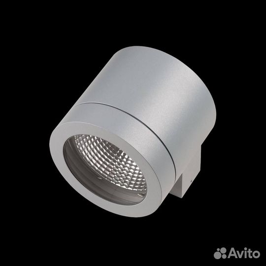 Уличный настенный светильник Lightstar Paro 350619