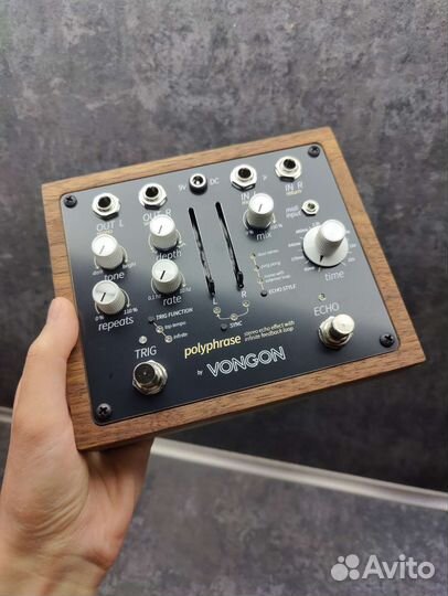 Vongon Polyphrase: авангардный стерео-дилей