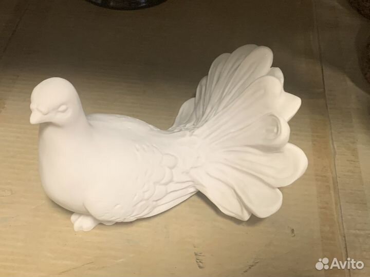 Голубь белый мраморный
