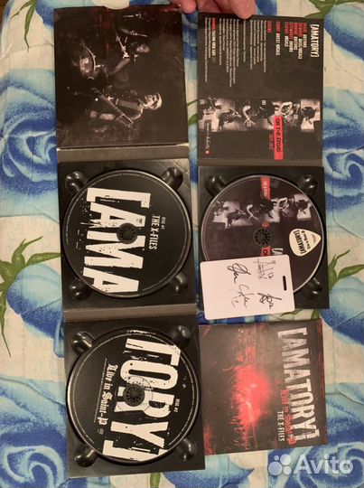 Коллекционное издание группы Amatory