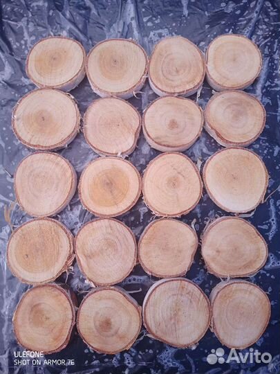 Спилы дерева