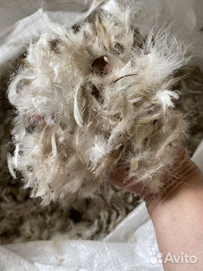 Подушка 50х70