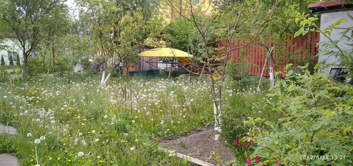 Дача 43 м² на участке 3,6 сот.