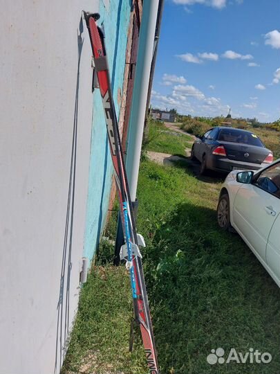 Лыжи с палками