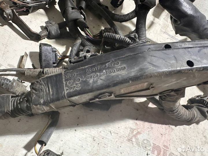 Моторная коса, проводка двигателя Lexus Rx 300