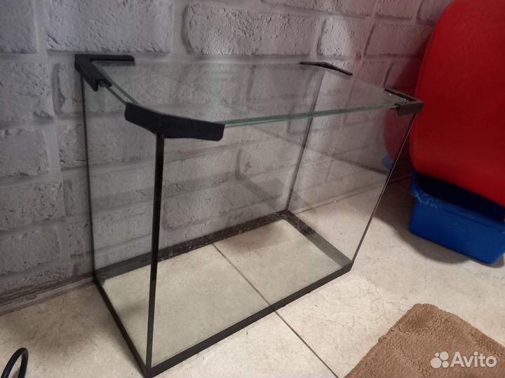 Аквариум, Террариум