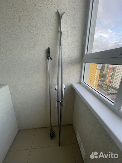 Беговые лыжи