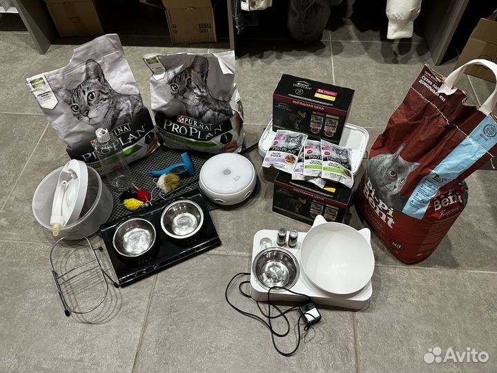 Все для ухода за кошкой