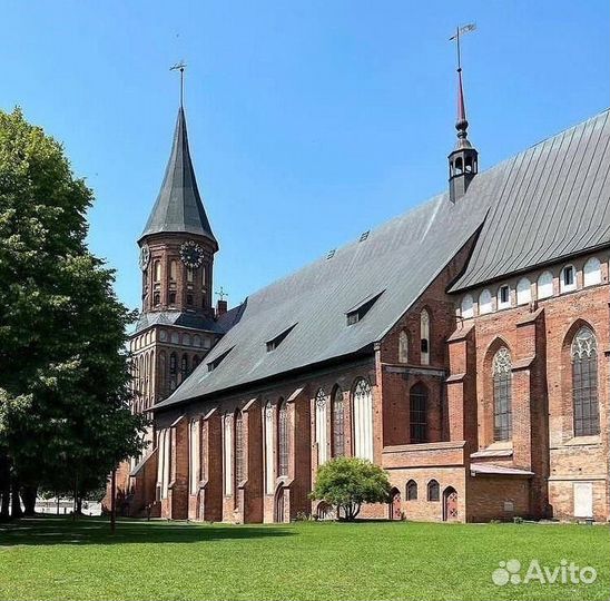 Туры экскурсионные в Калининград