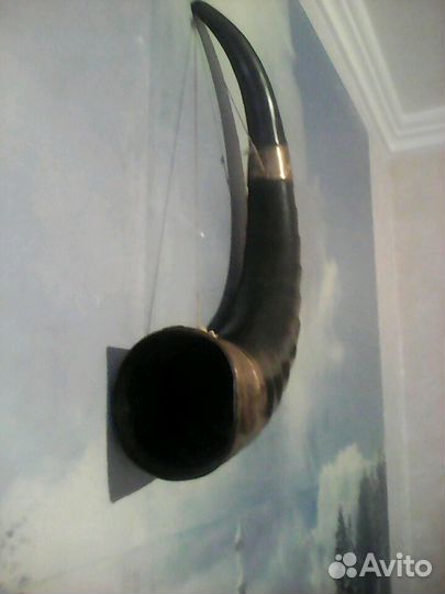 Рог сувенирный