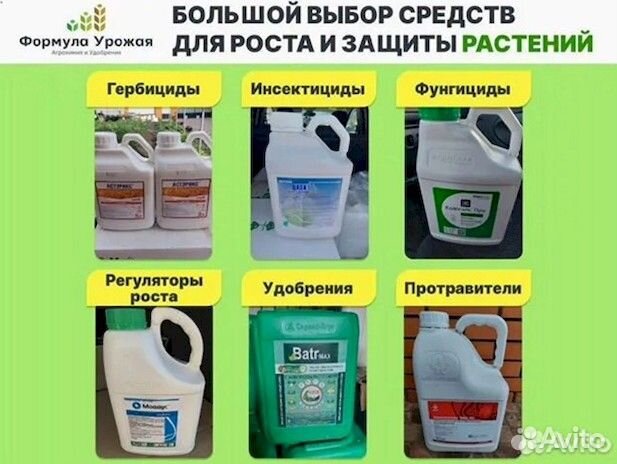 Дисулам, сэ - гербицид на зерновые