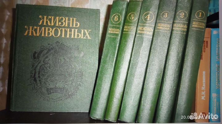 Собрание сочинений В мире животных