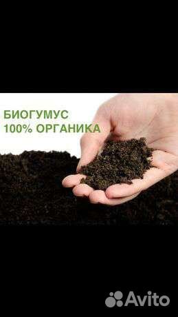 Биогумус, свое производство
