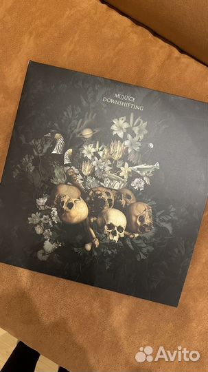 Винил mujuice downshifting