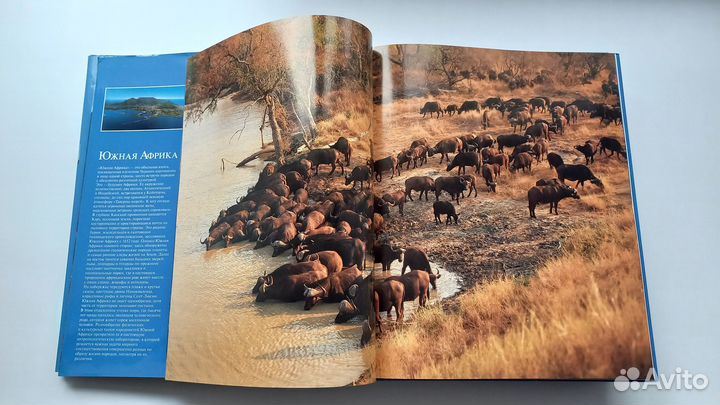 Страны мира