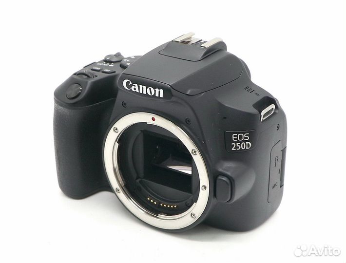 Canon EOS 250D body (пробег 10000 кадров)