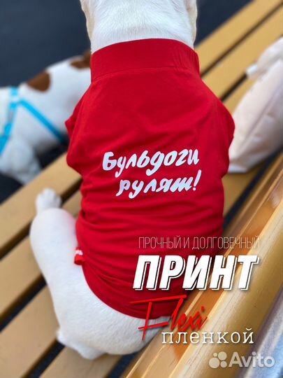 Майка для Бульдога