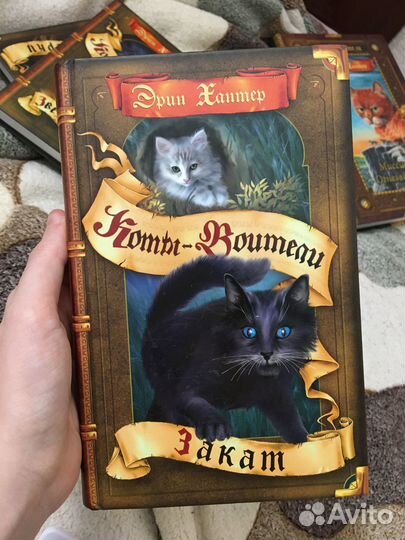 Коты-воители «Закат»