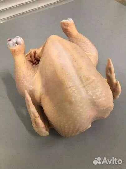 Куры бройлеры мясо