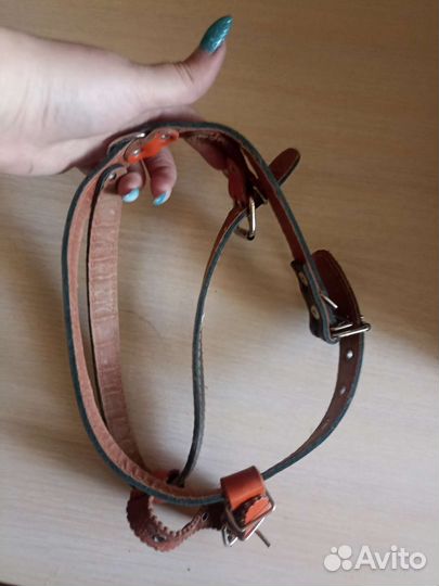 Шлейка для собаки