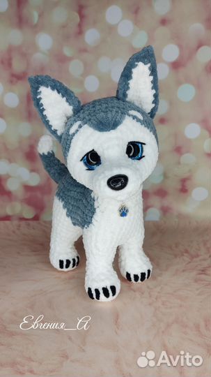 Щенок Хаски