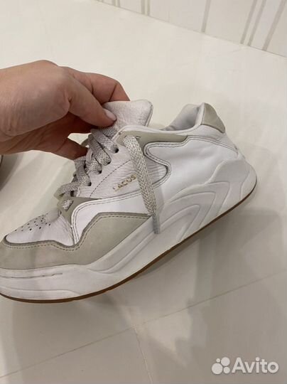 Lacoste 38