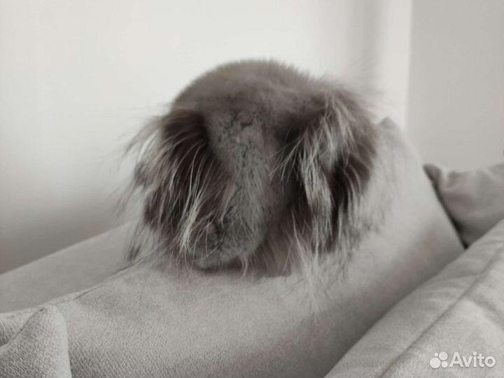 Шапка норковая легкая