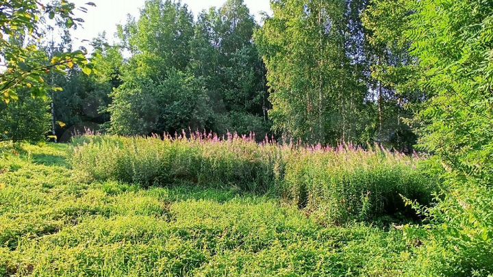 Участок 20 сот. (ИЖС)