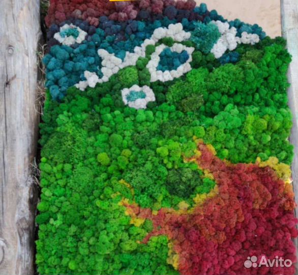 Панно цветное из мха