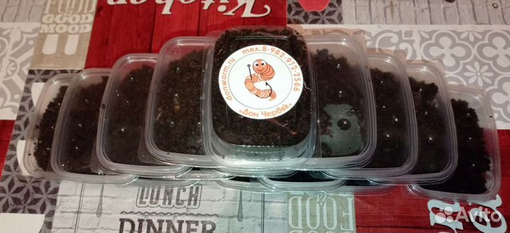 Продам червя