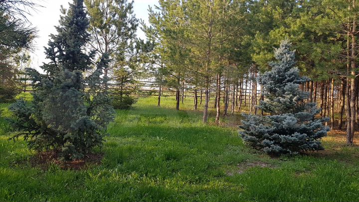 Участок 30 сот. (ИЖС)