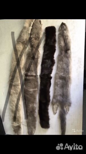 Шкурки норки