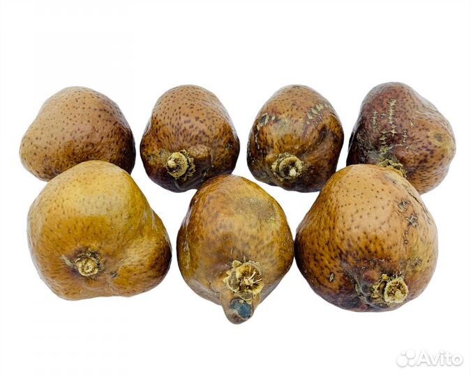 Мохилхин (Арабский орех от бесплодия) 1шт