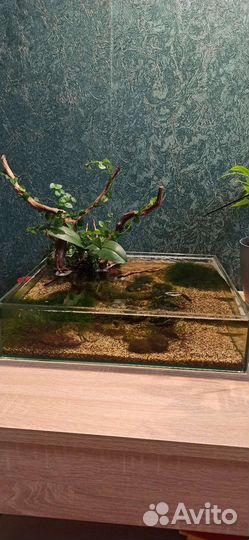 Аквариум Флорариум
