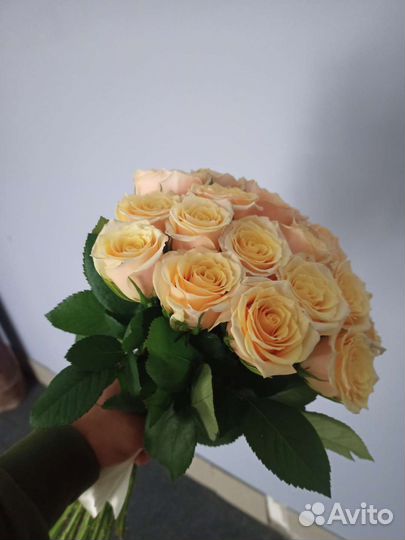 Свежие розы, Премиум розы из Эквадора