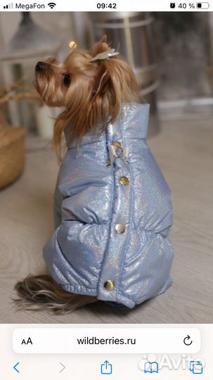 Зимний комбинезон для маленьких собак (мальчик)
