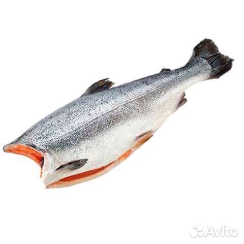 Рыба Форель Море 3+кг. Свежайшая. Лето 2023
