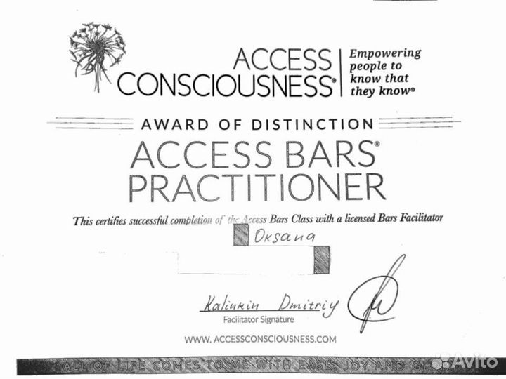 Access bars аксесс барс