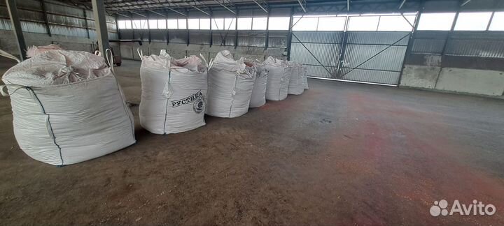 Семена ячмень яровой эс