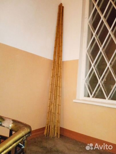 Стволы бамбука длина 4 м для декоративной отделки