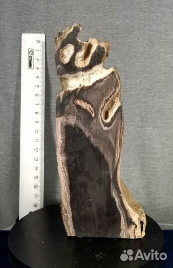 200.11 Дерево окаменелое